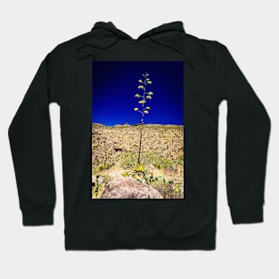 Century Plant in Arizona Hoodie